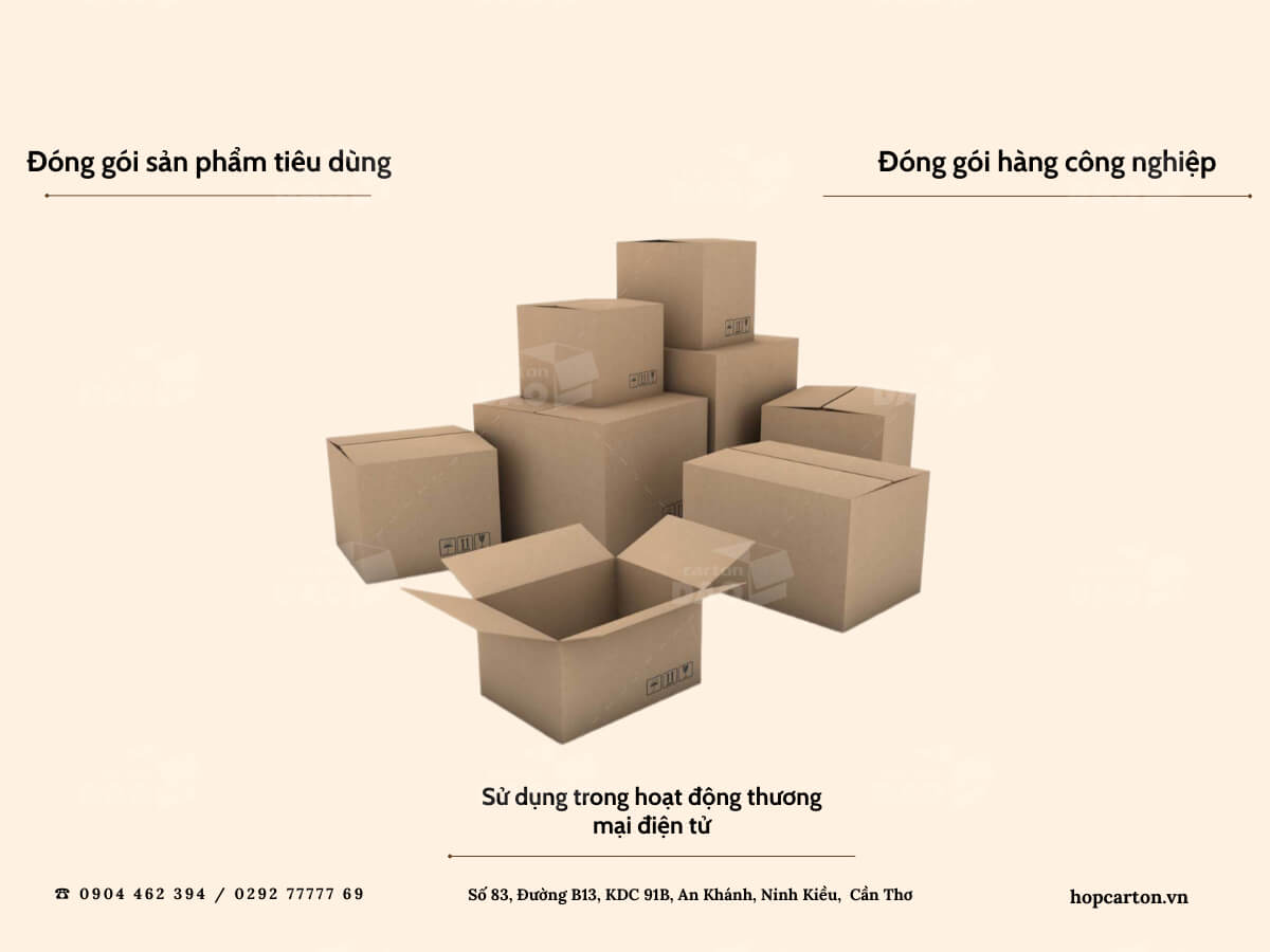 Ứng dụng của Thùng Carton