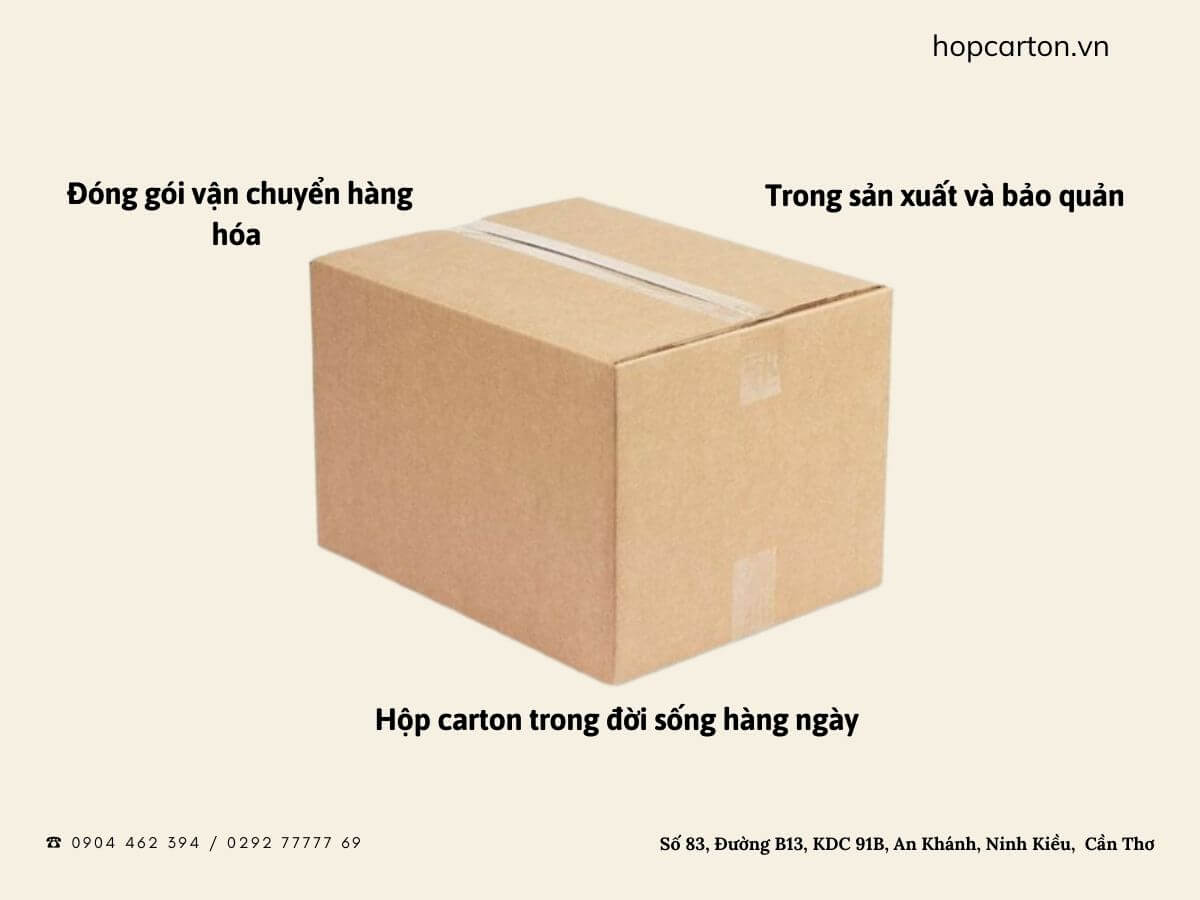 Ứng dụng thực tế của hộp carton