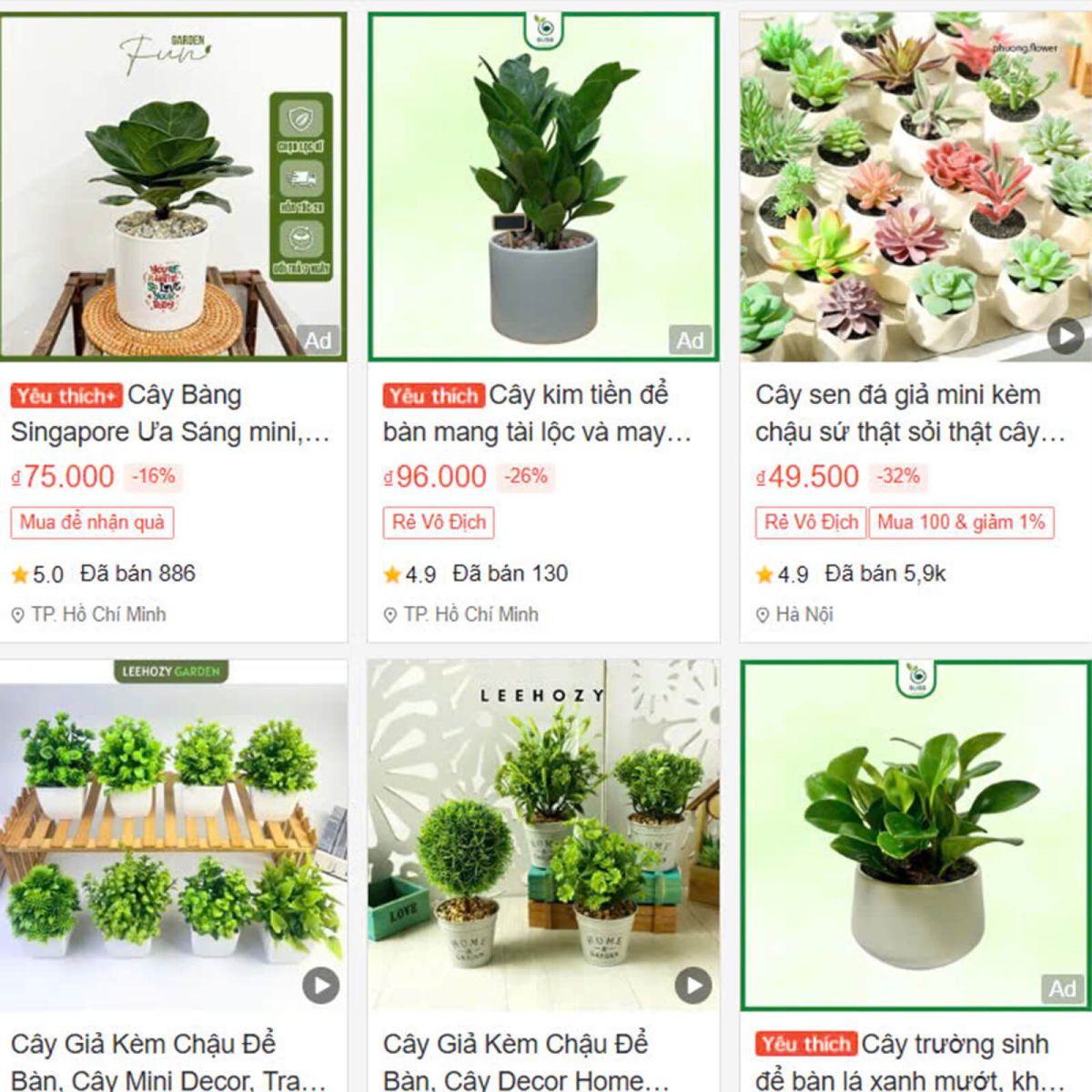 Cây cảnh mini
