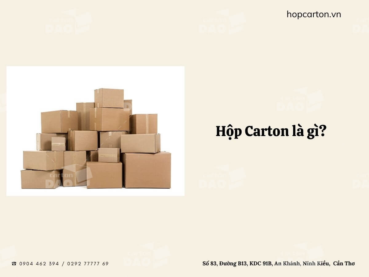 Hộp carton là gì