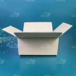 Hộp carton 20x17x9 cm  0