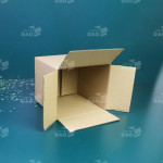 Hộp carton 20x17x20 cm 0