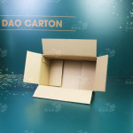 Hộp carton 22x13x10 cm  0