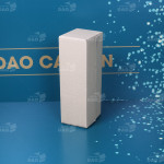 Hộp carton 25x10x8 cm  0