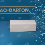Hộp carton 25x10x8 cm  1