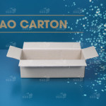 Hộp carton 25x10x8 cm  2