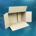 Hộp carton 25x15x10 cm  0