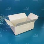 Hộp carton 25x15x10 cm  3