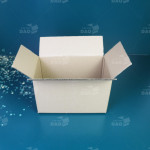 Hộp carton 25x15x15 cm 1