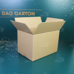 Thùng carton 30x20x20 cm 2
