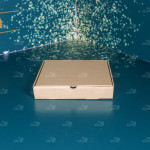 Hộp carton nắp gài 23x23x4 cm đựng pizza 0