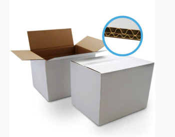 Những điều bạn nên biết về hộp carton trắng