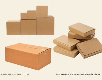 Nơi bán hộp carton đóng hàng Tết giá rẻ chất lượng 2025