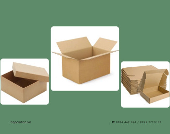 Top 3 Loại Hộp Carton phổ biến nhất hiện nay