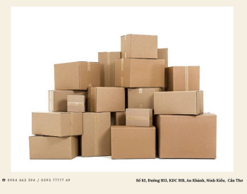 Vai trò quan trọng của hộp carton trong thương mại điện tử