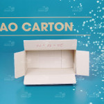 Hộp carton 20x10x10 cm 