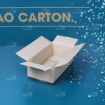 Hộp carton 20x10x6 cm 