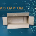 Hộp carton 25x10x8 cm 