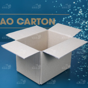 Hộp carton 20x15x15 cm 