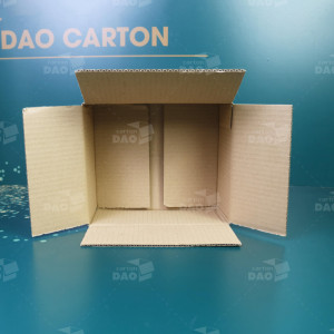 Hộp carton 20x17x9 cm 
