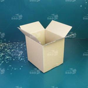 Hộp carton 20x17x20 cm