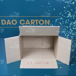 Hộp carton 21x16x16 cm 
