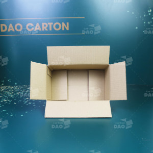 Hộp carton 22x13x10 cm 