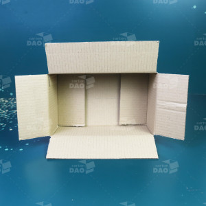 Hộp carton 25x15x10 cm 