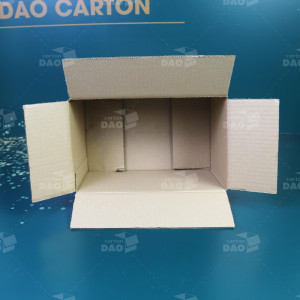 Hộp carton 25x15x15 cm