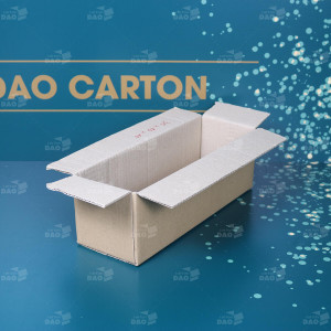 Hộp carton 30x10x10 cm