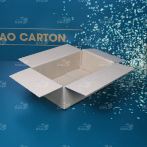 Hộp carton 30x20x10 cm