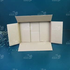 Hộp carton 30x20x5 cm
